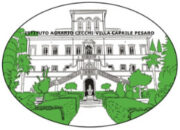 CECCHI-LOGO CECCHI-LOGO