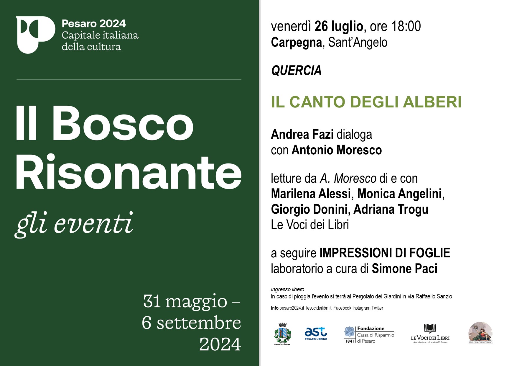 5_Carpegna_26 luglio2024_QUERCIA