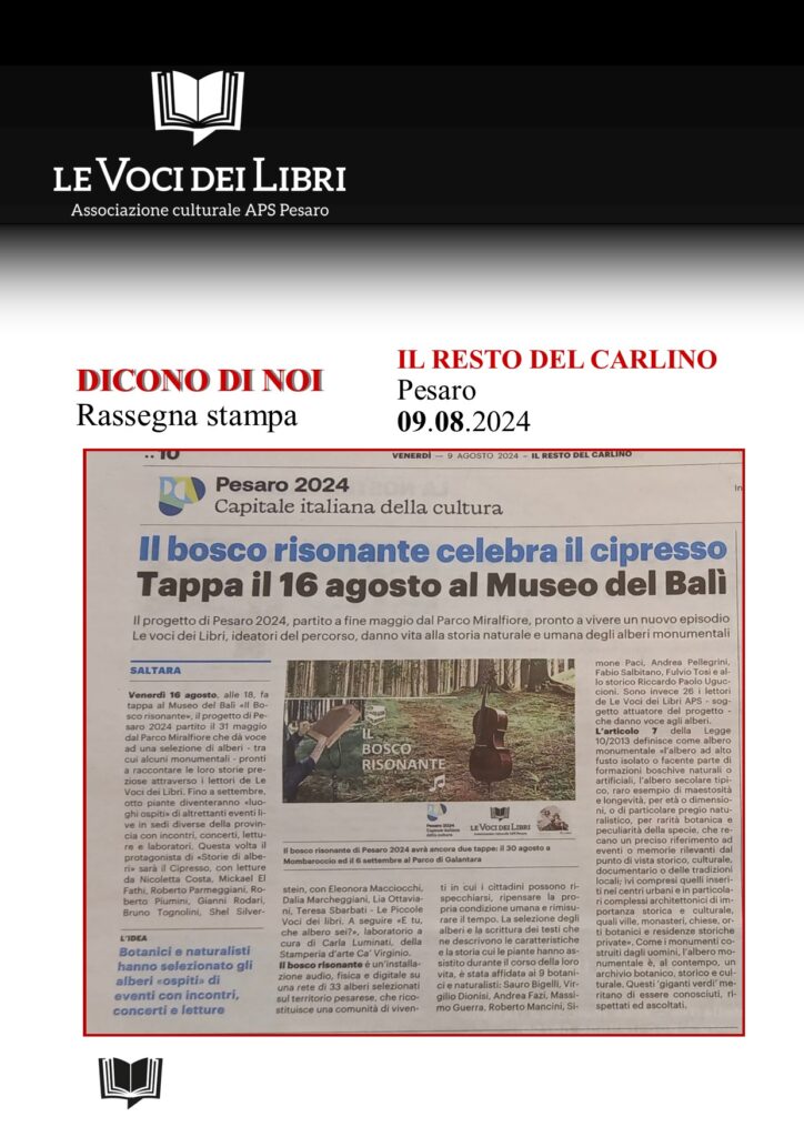 39_09.08.2024_Carlino_Il Bosco risonante_Saltara_Cipresso